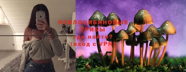 apvp Алексин